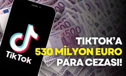 TikTok'a 530 milyon euro ceza: AB veri kurallarını ihlal etti