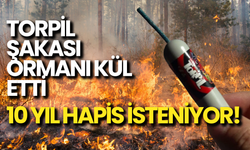 Torpil Şakası Ormanı Kül Etti: 10 Yıl Hapis İstendi