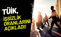 TÜİK işsizlik rakamlarını açıkladı: İşsiz sayısında düşüş, istihdamda gerileme