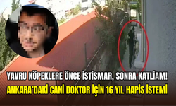 Ankara’da doktorun sistematik katliamı: 8 yavru köpeğe yönelik iğrenç eylemlerde bulunmuş!