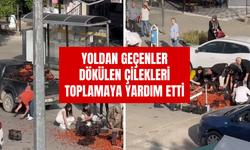 Çilek Dolu Araç Kaza Yaptı: Yoldan Geçenler Dökülenleri Toplamaya Yardım Etti!