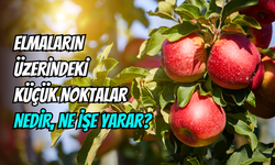 Elmaların kabuğundaki noktalar çürümenin işareti mi?