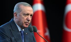 Cumhurbaşkanı Erdoğan'a bir yetki daha veren düzenleme tartışma konusu oldu!