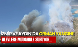 İzmir Foça’da Orman Yangını: Havadan ve Karadan Müdahale Sürüyor