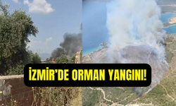 İzmir’de orman yangını alarmı: Ekipler havadan müdahale ediyor