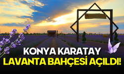 Konya Karatay Lavanta Bahçesi Açıldı: Giriş Ücreti Ne Kadar? Nerede? Hangi Otobüs Gider?