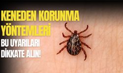 Kene ısırınca ne yapmalıyım? İşte kene ısırığı belirtileri