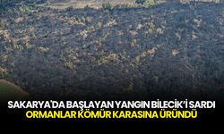 Sakarya’dan Bilecik’e Kabus Gibi Yangın! 14 Köy Boşaltıldı, Ormanlar Kül Oldu