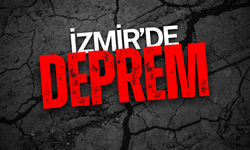 SON DAKİKA! İzmir Açıklarında 3.5 Büyüklüğünde Deprem