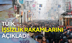 TÜİK, Mayıs 2025 işsizlik rakamlarını açıkladı: İstihdam edilen kişi sayısı 32,5 milyon oldu