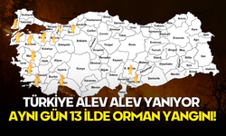 Türkiye Alev Alev Yanıyor: Aynı Gün 13 İlde Orman Yangını!