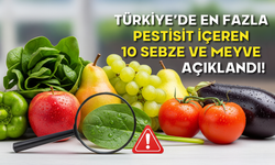 Türkiye’de En Fazla Pestisit İçeren 10 Sebze ve Meyve Açıklandı