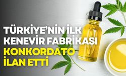 Türkiye’nin ilk kenevir fabrikası konkordato ilan etti