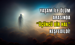 Yaşamın sınırları zorlanıyor: Bilim insanları üçüncü biyolojik hali keşfetti