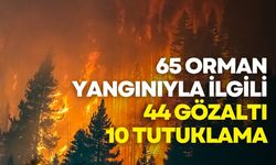 65 Orman Yangınıyla İlgili 44 Gözaltı, 10 Tutuklama: Bakan Yerlikaya Detayları Paylaştı
