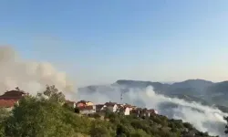 Bursa’da başlayan orman yangını Balıkesir’e sıçradı: Köy tahliye edildi, 2 kişi gözaltında