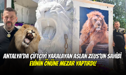 Antalya’da Çiftçiyi Yaralayan Aslan Zeus’un Sahibi Evinin Önüne Mezar Yaptırdı: “Uyku Uyuyamıyorum!”