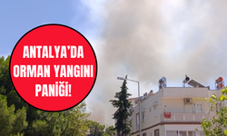 Antalya’da orman yangını: Lara’da alevler yükseldi
