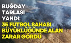 Buğday tarlası yandı: 35 futbol sahası büyüklüğünde alan zarar gördü