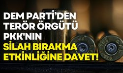 DEM Parti’den terör örgütü PKK'nın silah bırakma etkinliğine davet!