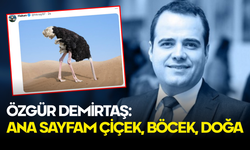 Özgür Demirtaş “Bu Kelimeleri Sessize Aldım, Psikolojim Düzeldi” Dedi: Twitter Ahalisinin Diline Düştü!