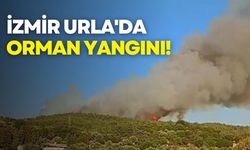 İzmir Urla'da orman yangını!