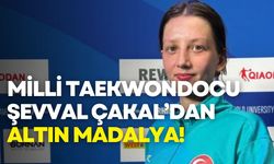 Milli taekwondocu Şevval Çakal'dan altın madalya!