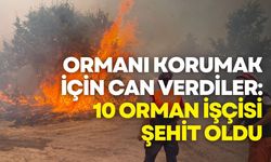 Ormanı Korumak İçin Can Verdiler: 10 Orman İşçisi Şehit Oldu