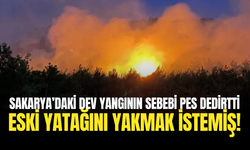Sakarya’daki Dev Yangının Sebebi Duyanlar Şokta: Böyle Bir İhmale Pes!