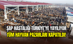 Şap hastalığı Türkiye genelinde yayılıyor: Tüm hayvan pazarları kapatıldı