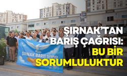 Şırnak’tan barış çağrısı: Barışa sarılmak bir sorumluluktur