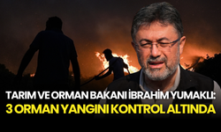 SON DAKİKA... Bakan Yumaklı Açıkladı: Hatay, Bursa ve Edirne’deki 3 Orman Yangını Kontrol Altında
