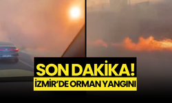 SONDAKİKA...İzmir Aliağa’da Orman Yangını!