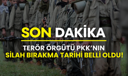 DEM Parti’li vekil açıkladı: Terör örgütü PKK’nın silah bırakma tarihi belli oldu