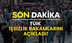 TÜİK işsizlik rakamlarını açıkladı: Haziran ayında yükseldi