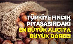 Ferrero’ya Türkiye’de fındık alım ve ihracat yasağı! Mahkeme taahhütleri iptal etti