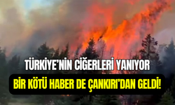 Türkiye’nin ciğerleri yanıp kül oluyor: Bu kez Çankırı’da yangın çıktı