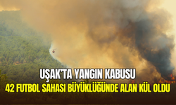 Uşak’ta orman yangını felaketi: 42 futbol sahası büyüklüğündeki alan kül oldu