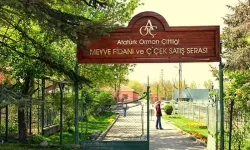 AOÇ satıldı mı? Şok eden iddia!