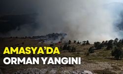 Amasya’da orman yangını: Vatandaşlar da destek veriyor!