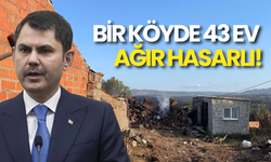 Bakan Kurum’dan Çanakkale’deki Yangınla İlgili Açıklama: Ağır Hasarlar Var!