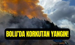 Bolu Mengen’de orman yangını çıktı