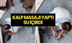 Bursa’da Sıcaktan Bayılan Kedi, Esnafın Müdahalesiyle Hayata Döndü!