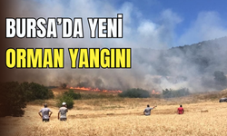 Bursa’da yeni orman yangını: Yenişehir’de alevler yükseldi