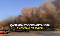 Çanakkale’de Orman Yangını: 2 Köy Boşaltıldı