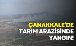 Çanakkale’de tarım arazisinde yangın!