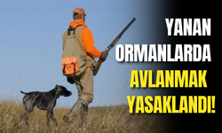 Çanakkale’de Yanan Ormanlarda 2025-2026 Av Döneminde Avlanmak Yasaklandı