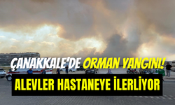 Çanakkale’deki orman yangını devlet hastanesine yaklaştı