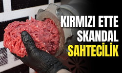 Cezalara Rağmen Kırmızı Et Ürünlerinde Skandal Sahtecilik! Adana Kebap, Börek, Mantı… Hepsi Tehlikede!