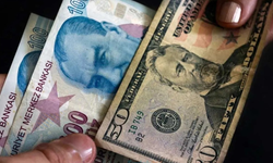 Dolar 5 ay sonra yeniden 41 liranın üzerinde